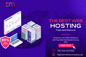Web Hosting Provider