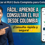 Cómo Consultar RUI